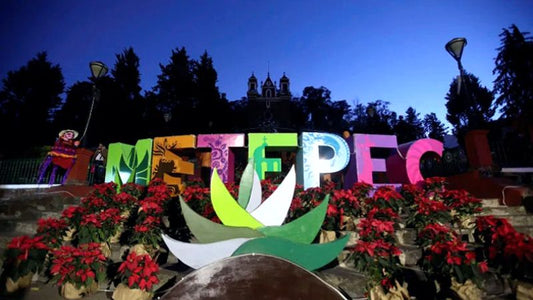 SUCURSAL METEPEC SUR, ESTADO DE MÉXICO.
