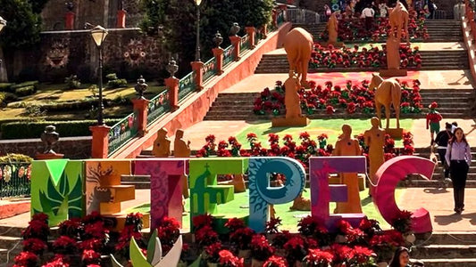 SUCURSAL METEPEC, ESTADO DE MÉXICO.