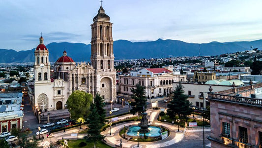 SUCURSAL SALTILLO, COAHUILA